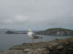 Peninsule de Dingle